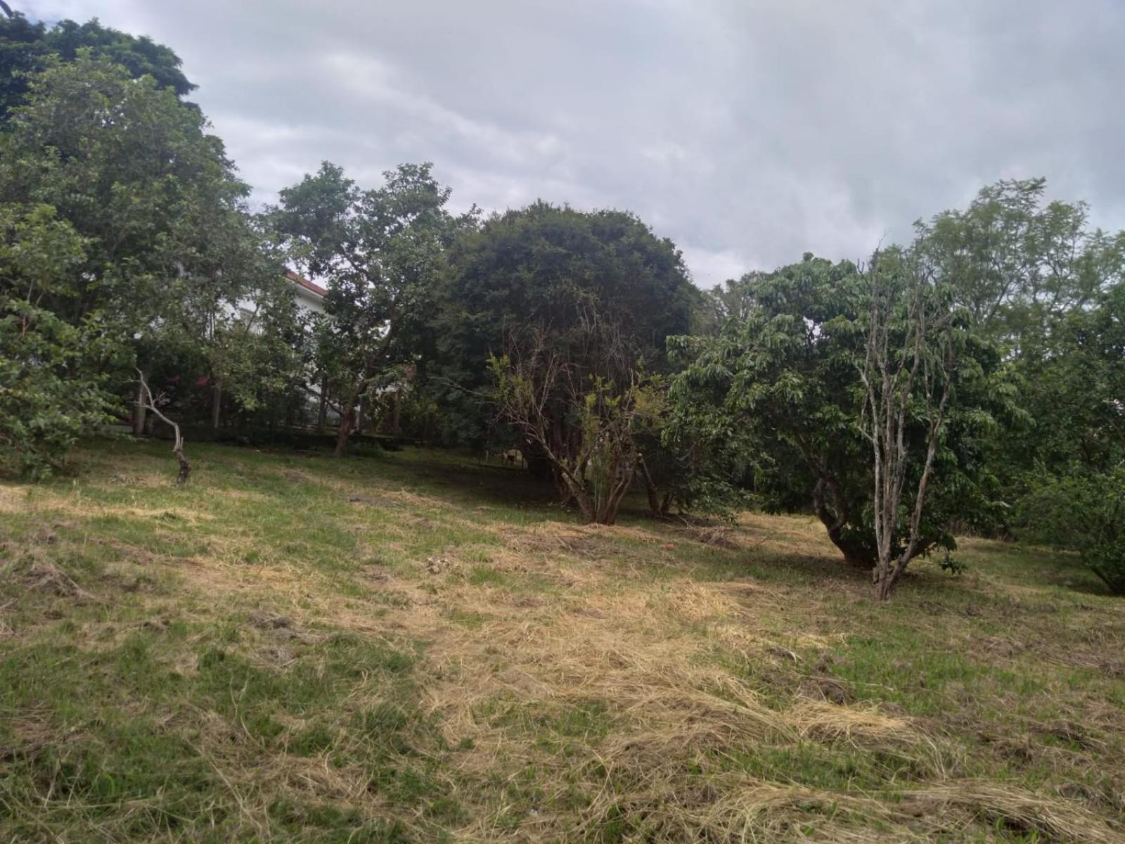 Casa Delicia Em Passa Quatro Ate 6 Pessoas Vila Exterior foto