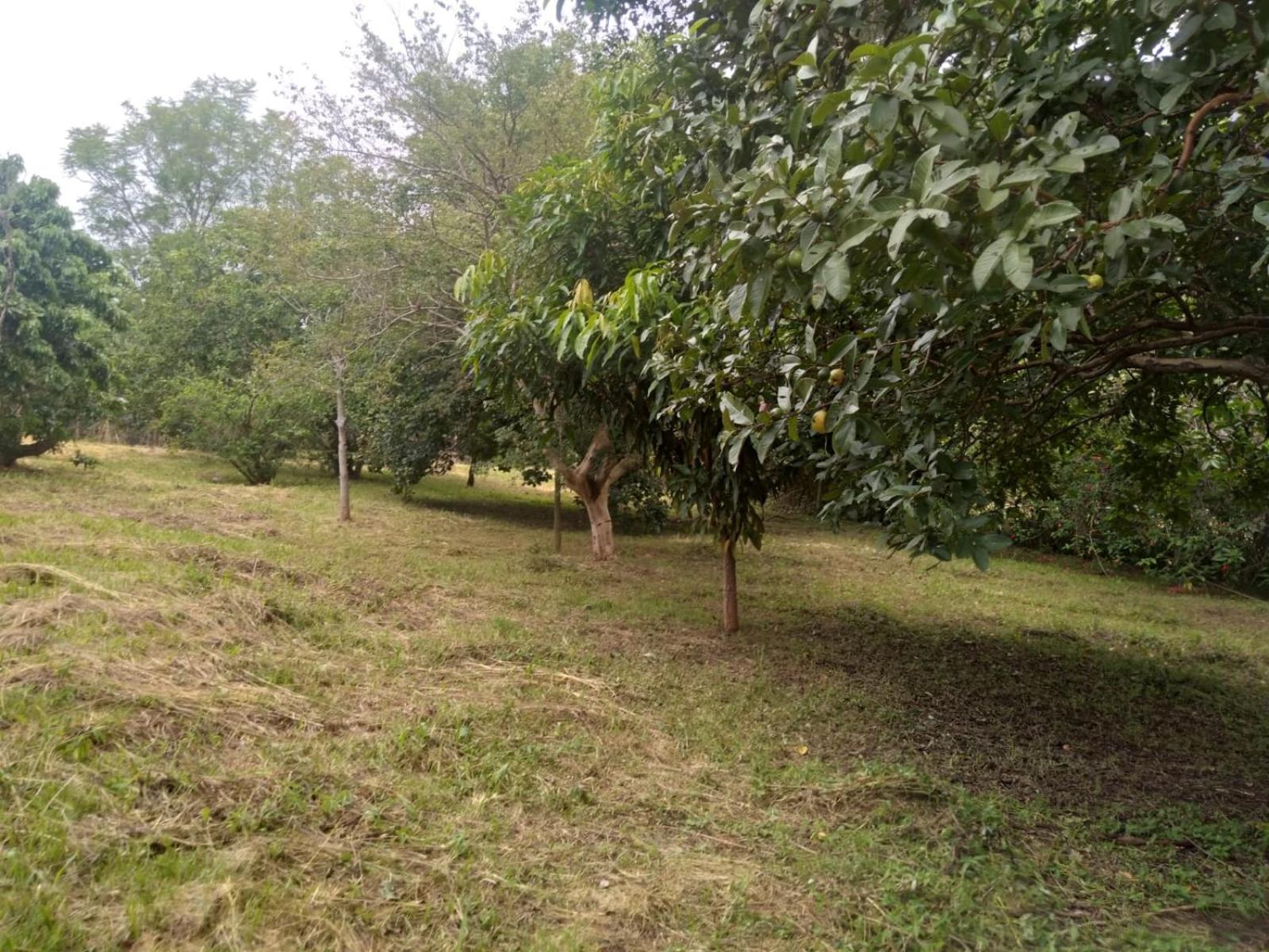 Casa Delicia Em Passa Quatro Ate 6 Pessoas Vila Exterior foto